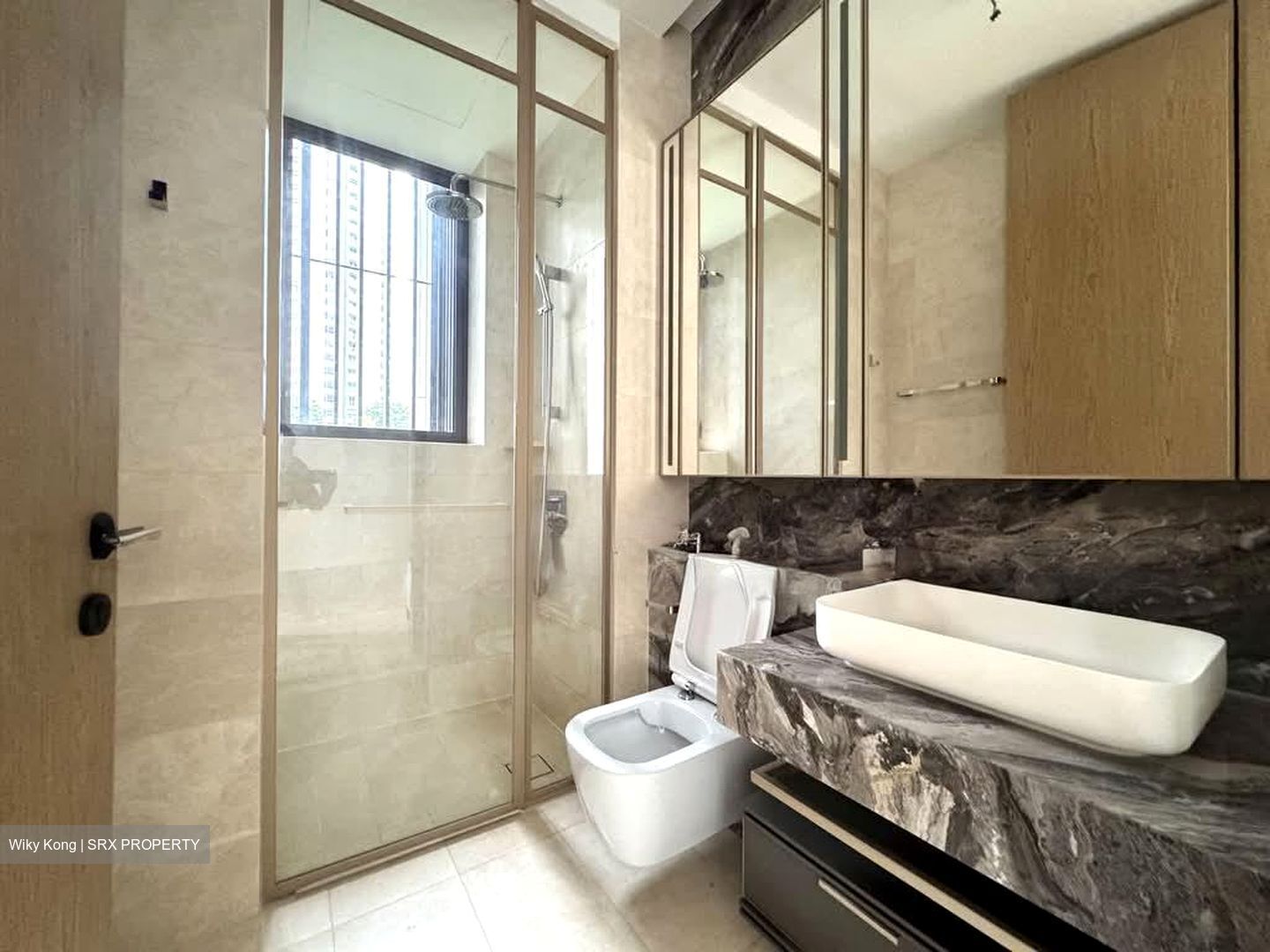 The Avenir (D9), Condominium #566077141
